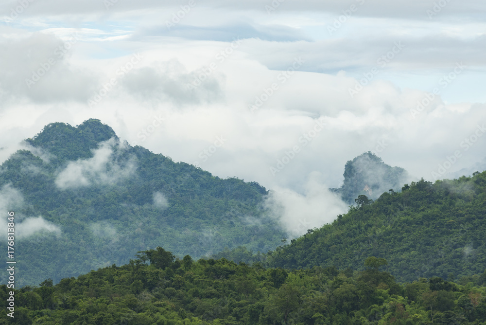 Kanchanaburi tropical forest, natural view