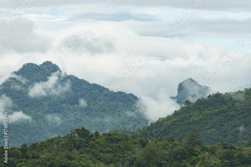 Kanchanaburi tropical forest  natural view