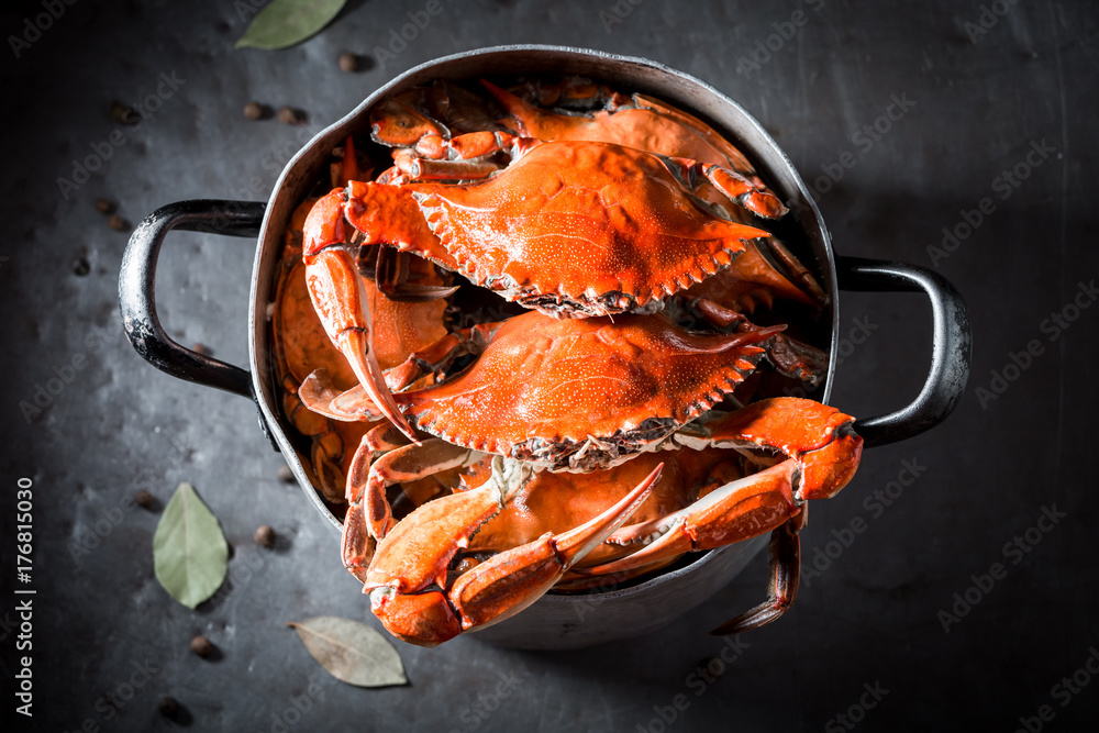 Preparation for homemade crab in a old metal pot - obrazy, fototapety, plakaty 