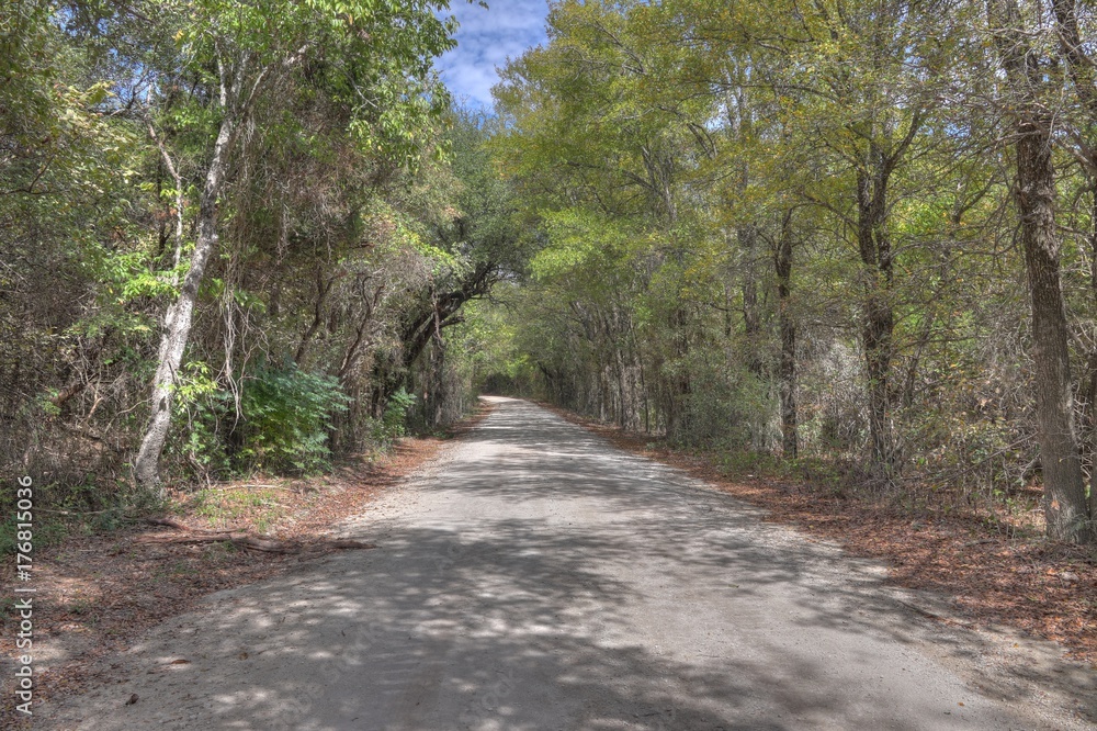 Naklejka premium A dirt road in Texas