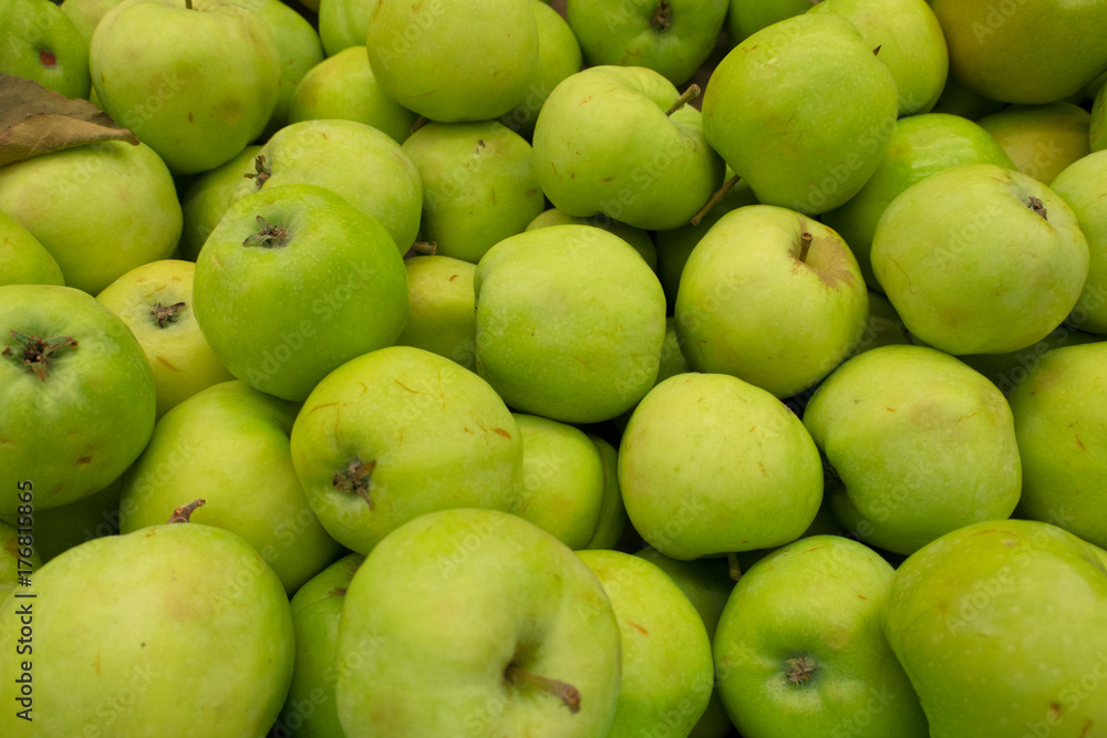 seasonal apples seasonal apples