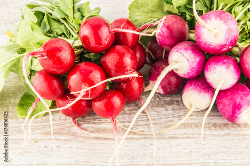 two bunches of radish red and pink on a wooden board