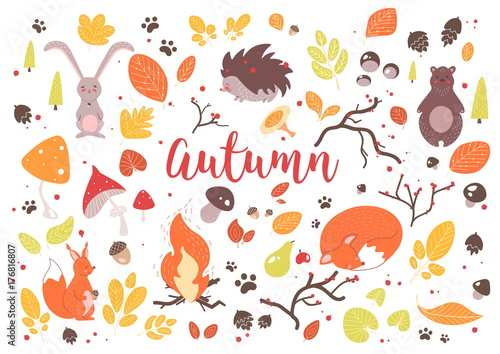 Collection of colorful autumn leaves, branches, cones, acorns, nuts, fruits, berries, mushrooms, burning bonfire and cute cartoon forest animals isolated on white background