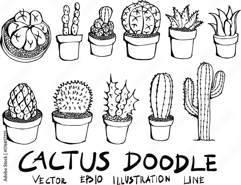Hand drawn cactus isolated. Vector sketch black and white illustration icon doodle eps10 - obrazy, fototapety, plakaty 