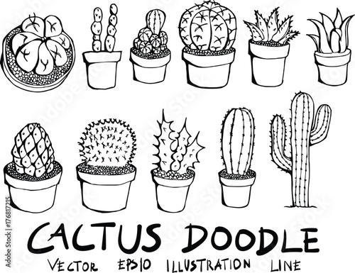 Hand drawn cactus isolated. Vector sketch black and white illustration icon doodle eps10 photo