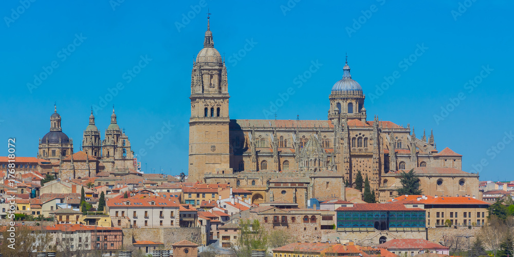 General view of Salamanca cathedral, spain