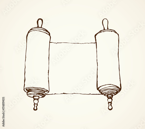 Scroll. Vector drawing