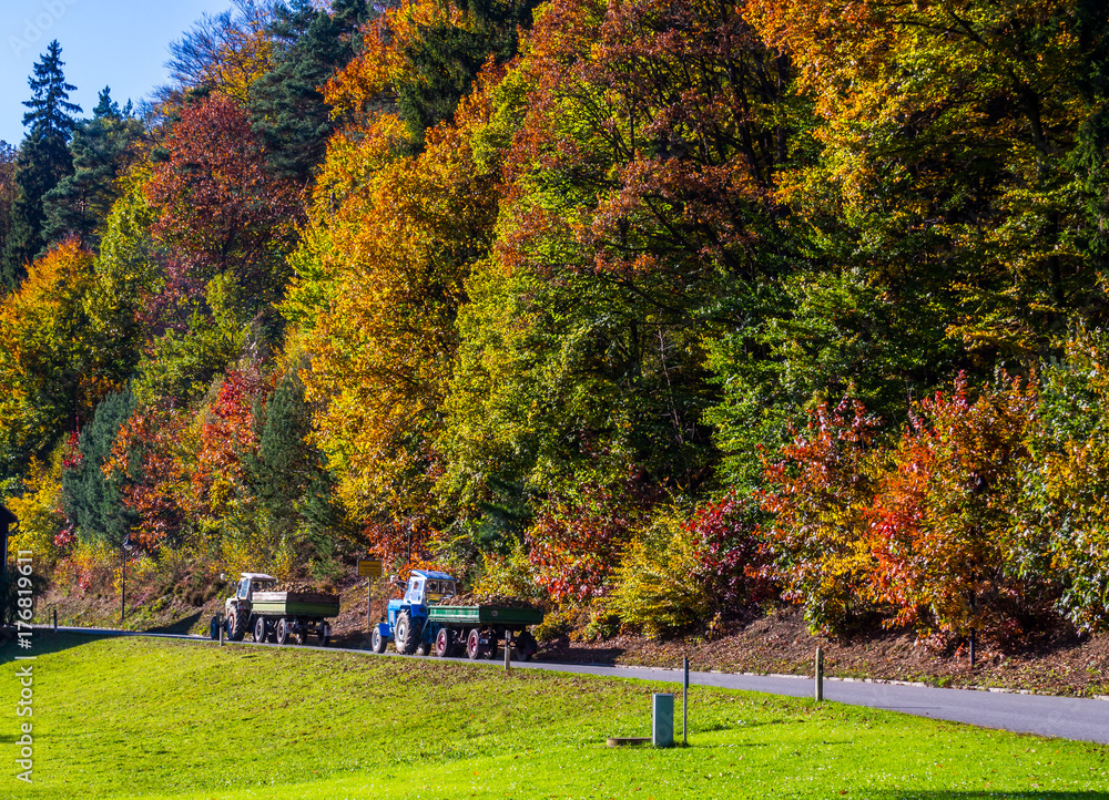Fototapeta premium schöner Tag im Herbst