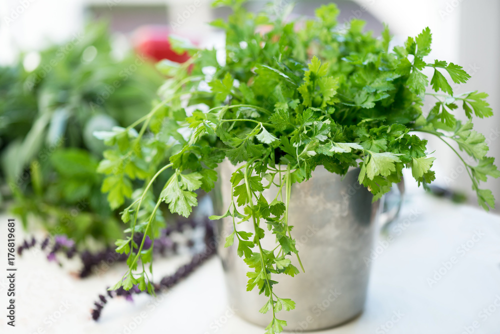 Spices and condiments for meals. Fresh parsley leaves. Spices and condiments for meals. Fresh parsley leaves.