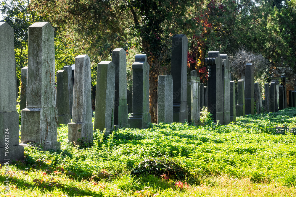 Naklejka premium Friedhof