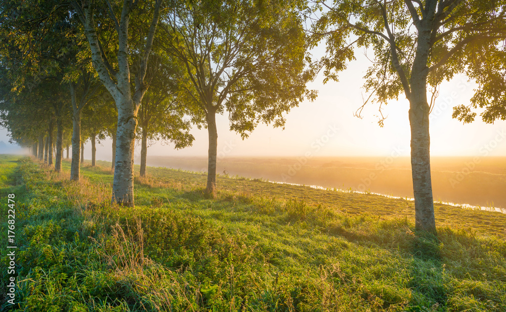Fototapeta premium Canal through a misty field at sunrise in autumn