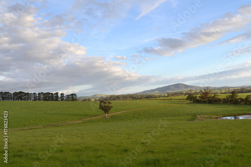 Foto The plain landscape of grassland, in Tarrawara, Victoria, Australia