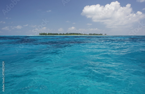 Bird island, Seychelles 