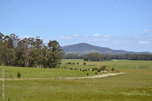 Foto The dirt road in a farm, Victoria, Australia