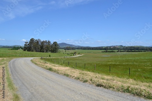 Schilderij op canvas The dirt road in a farm, Victoria, Australia