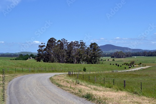 Schilderij op canvas The dirt road in a farm, Victoria, Australia