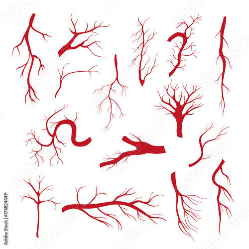 Set of blood vessels - modern vector isolated clip art