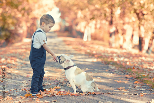 kleiner Junge füttert seinen Hund im Park