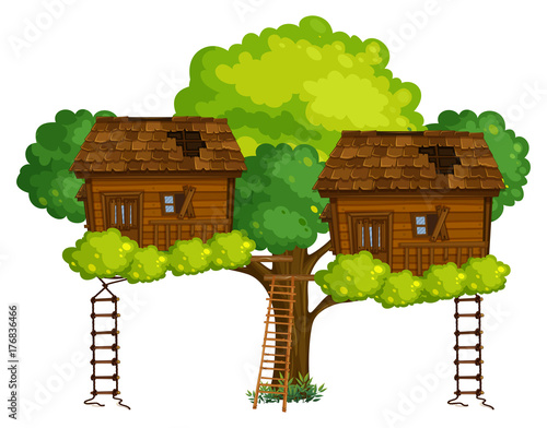 Two treehouses on the tree