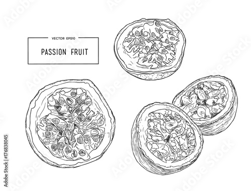Passion fruit vector illustration
