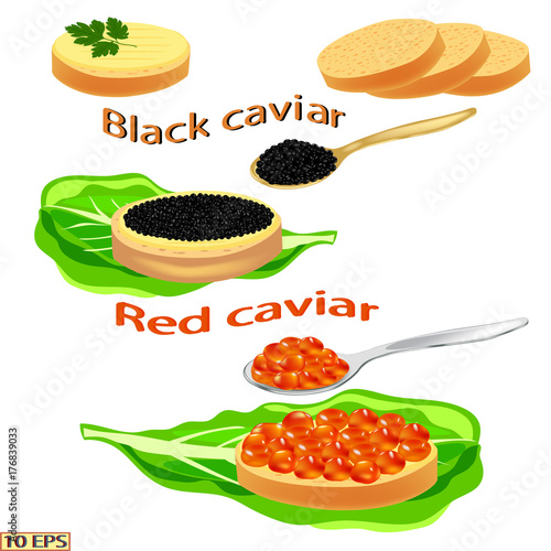 Red caviar and black. Salmon caviar and sturgeon caviar. Sandwich with caviar isolated on white background.  Vector illustration.