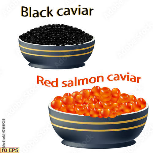 Red caviar and black. Salmon caviar and sturgeon caviar. Sandwich with caviar isolated on white background.  Vector illustration.