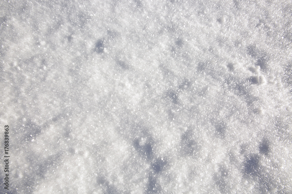 Macro shot from Snow.