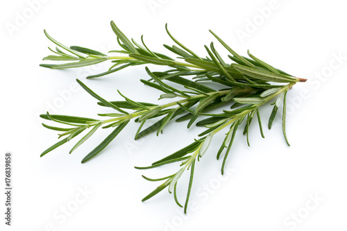 Rosemary isolated on white background, Top view. © gitusik