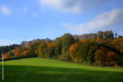 Jesienny krajobraz, drzewa w jesiennej szacie, zielone pole i błękitne niebo z rozmytymi chmurami, Polska