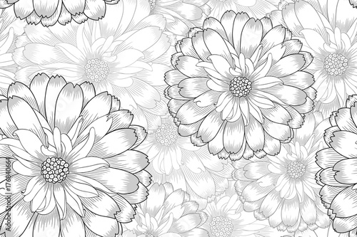 Hand-drawing monochrome seamless floral background with flowers daisy. Element for design. Vector illustration.