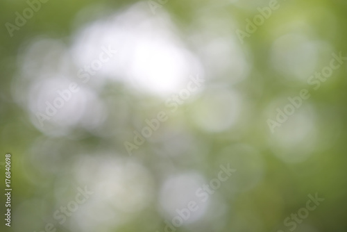 Blur focus of leaf, bokeh, background texture.