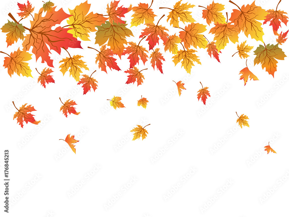 maples background with copy space Stock Vector | Adobe Stock