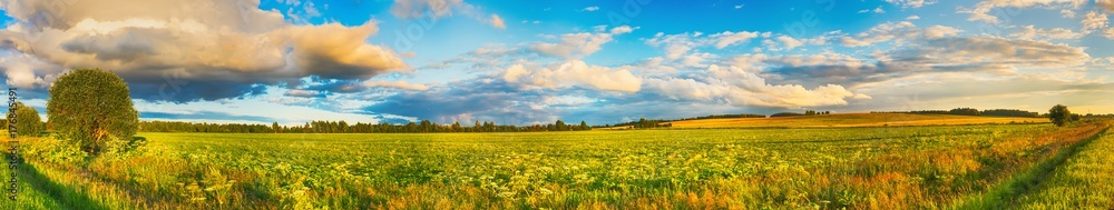 Rural landscape. Panorama - obrazy, fototapety, plakaty 