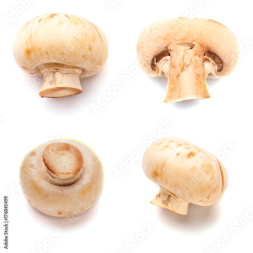 Set of white fresh mushroom in white isolated background