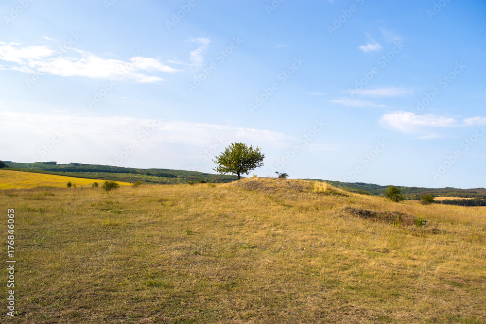 Autumn landscape on a sunny day outside the city. Autumn landscape on a sunny day outside the city.