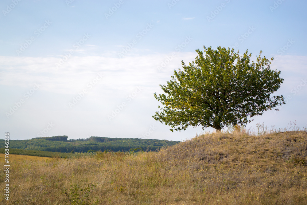 Autumn landscape on a sunny day outside the city. Autumn landscape on a sunny day outside the city.