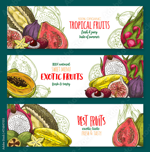 Exotic fruit sketch banner set of tropical berry