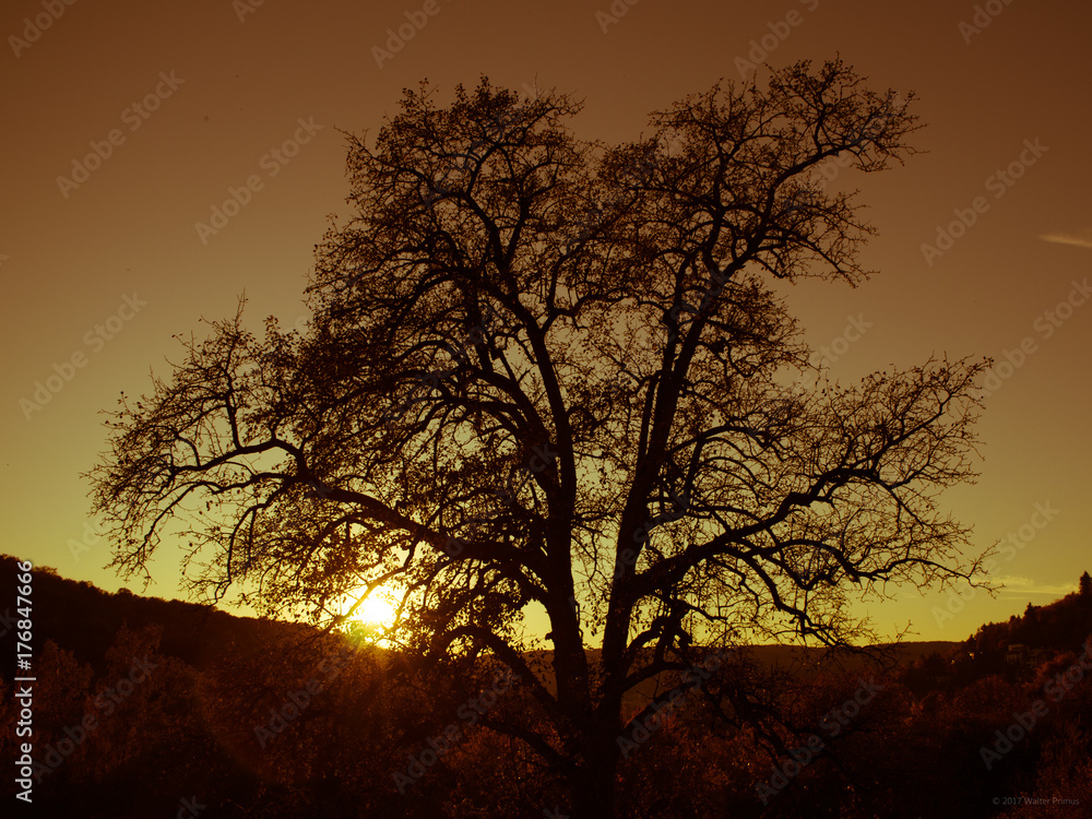 Sunset in autumn Sunset in autumn