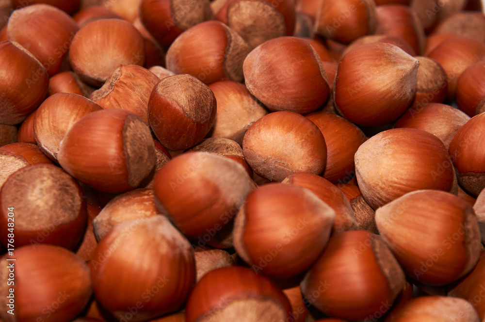 Hazelnut. Fresh organic filbert. Nuts macro. Food background. Hazelnut. Fresh organic filbert. Nuts macro. Food background.