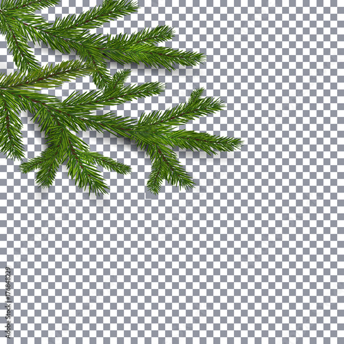 Symbol of the New Year and Christmas. two green lush branches spruce on a checker background. illustration