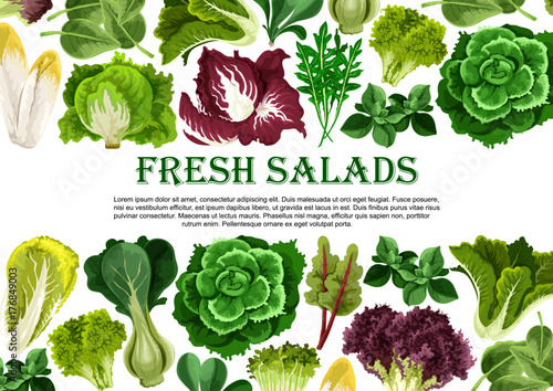 Salad leaf, vegetable greens banner border design photo