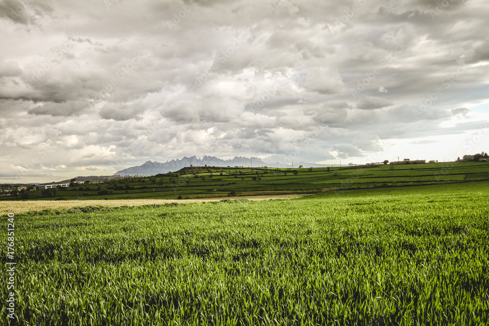 Obraz premium Paisaje lluvioso