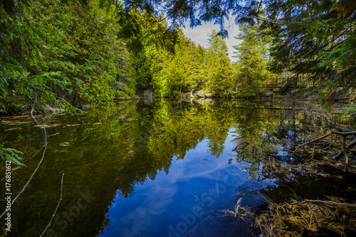 Rockwood conservation area