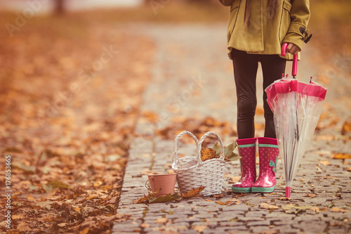 Little girl standing with chestnuts, basket and leafs. Autumn theme.