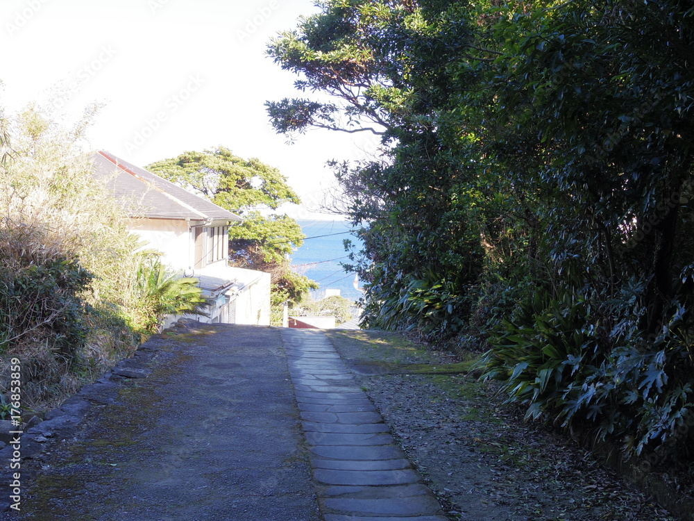 Obraz premium 日本の田舎道