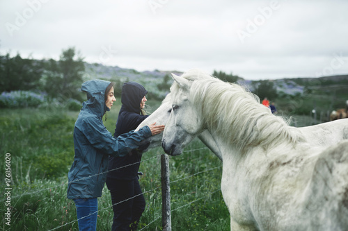 Travel to Iceland. a woman stroking a horse in the field