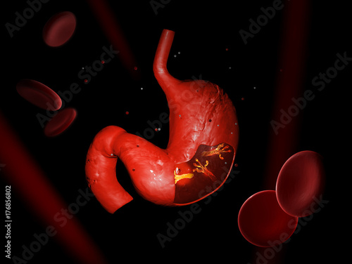 фотографія Helicobacter Pylori, microaerophilic bacteria found in the stomach
