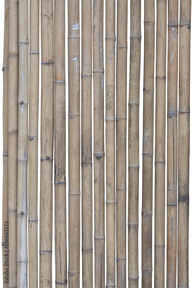 Fototapeta premium bamboo fence isolated on white background. clipping path