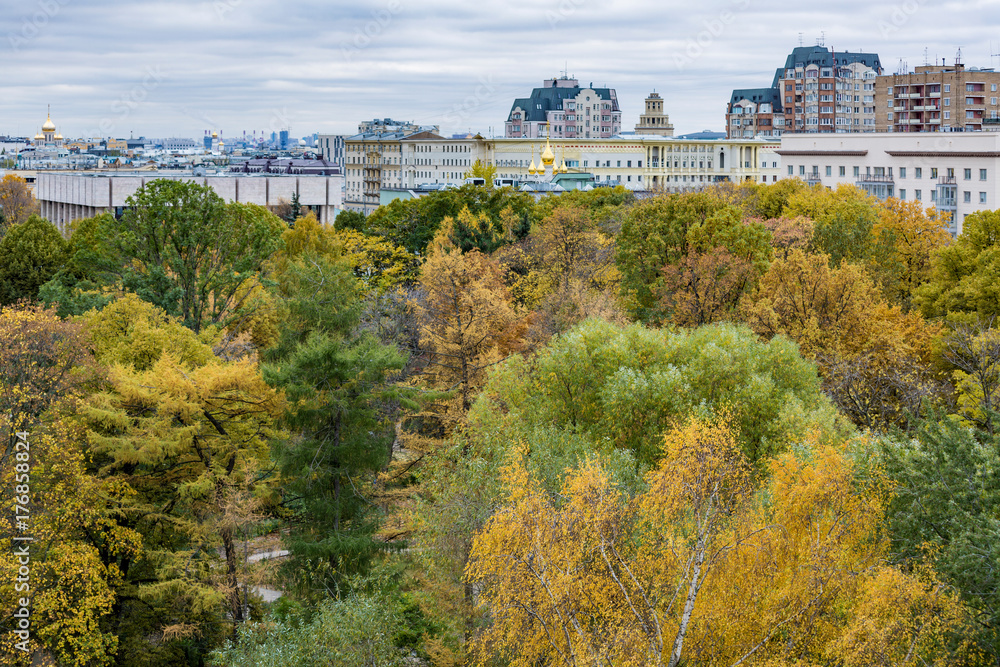 Bright yellow foliage of trees in the city autumn park
