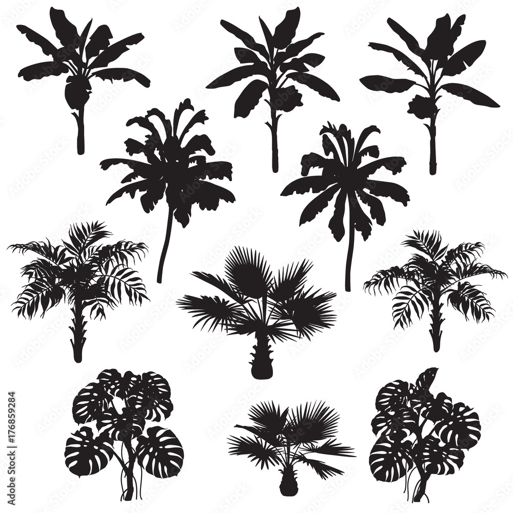 Tropical Plants Silhouette Set Stock Vector | Adobe Stock
